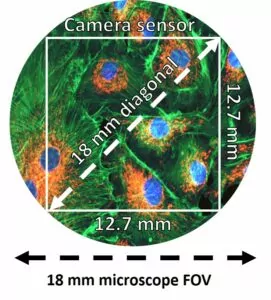 Figure 3. Camera sensor smaller than the FOV of the objective FOV.