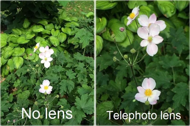 No lens vs telephoto lens